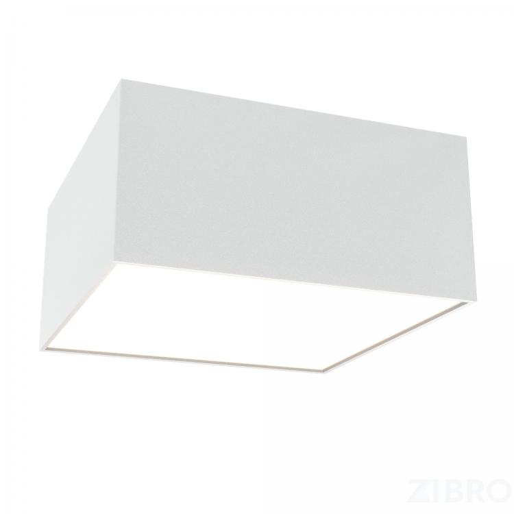 Потолочный светильник Technical C067CL-L12W3K