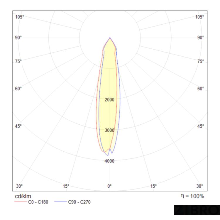 Потолочный светильник Technical C027CL-L10B
