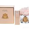 96CN-RB66 Диффузор Five Rose French Pink, спрей White Gardenia 10мл в упак.