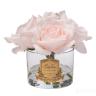 96CN-RB66 Диффузор Five Rose French Pink, спрей White Gardenia 10мл в упак.