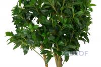 Искусственные растения Дерево счастья MK-7405-FT 0х0х120 см Темно-зеленый