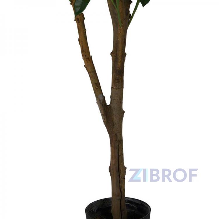 Искусственные растения Дерево счастья MK-7405-FT 0х0х120 см Темно-зеленый
