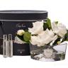 96CN-LV10 Диффузор Oval White, спрей White Gardenia 2x10мл  в уп.