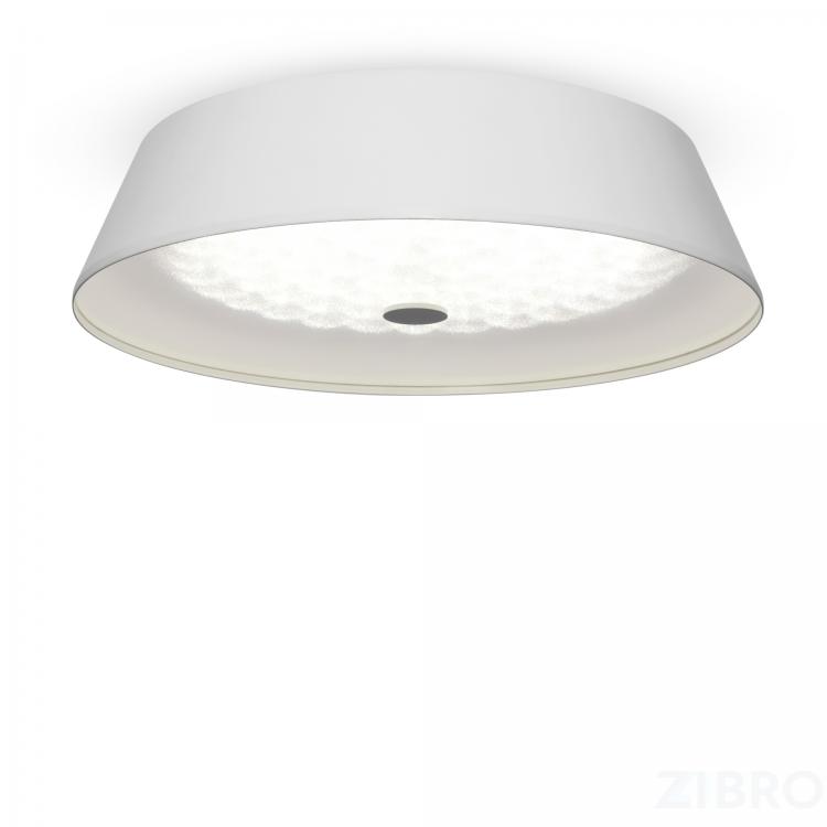 Потолочный светильник Freya FR10013CL-L24W