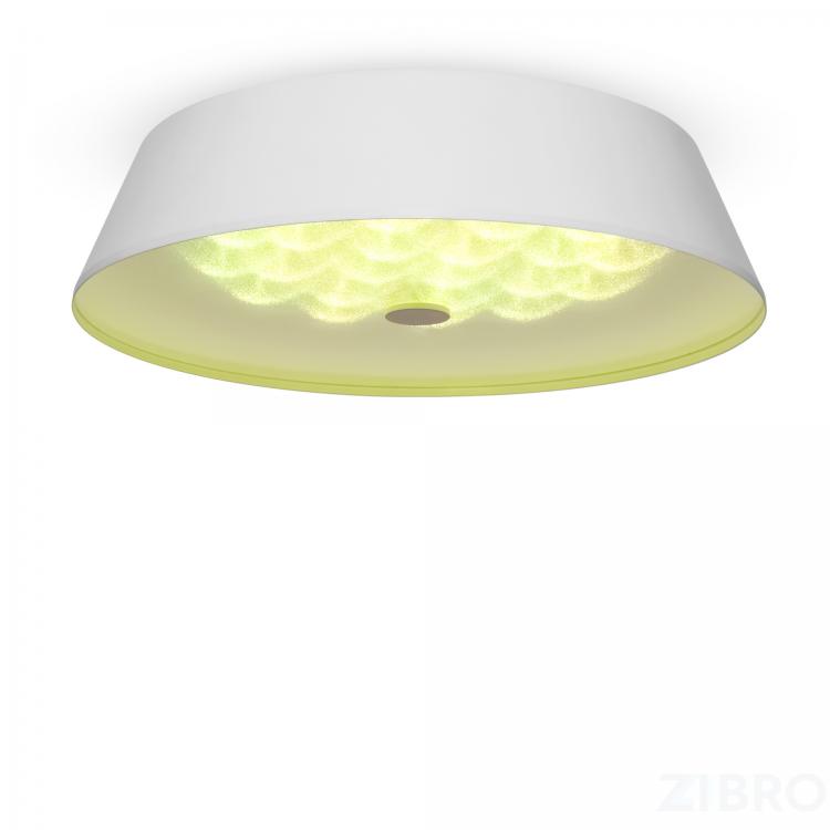Потолочный светильник Freya FR10013CL-L24W