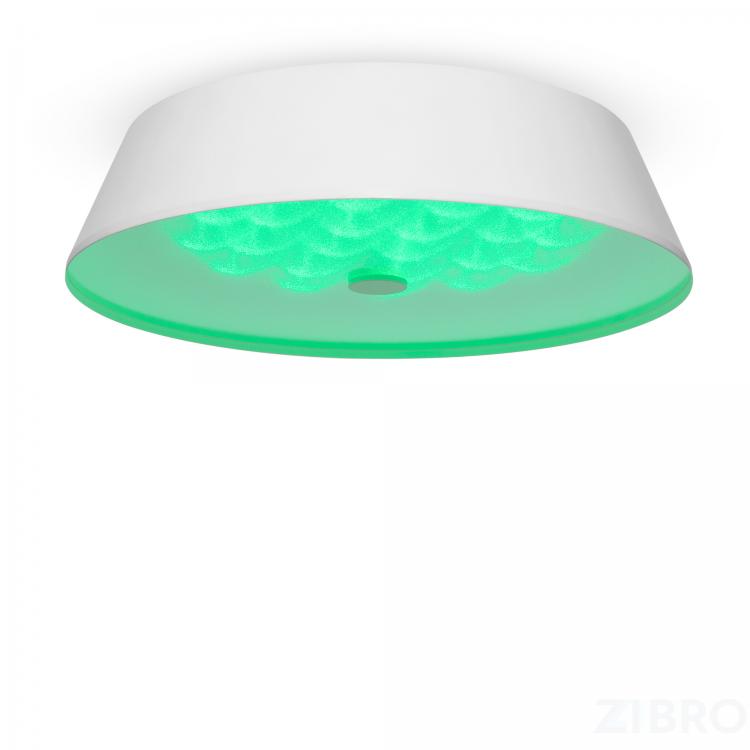 Потолочный светильник Freya FR10013CL-L24W