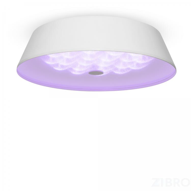 Потолочный светильник Freya FR10013CL-L24W