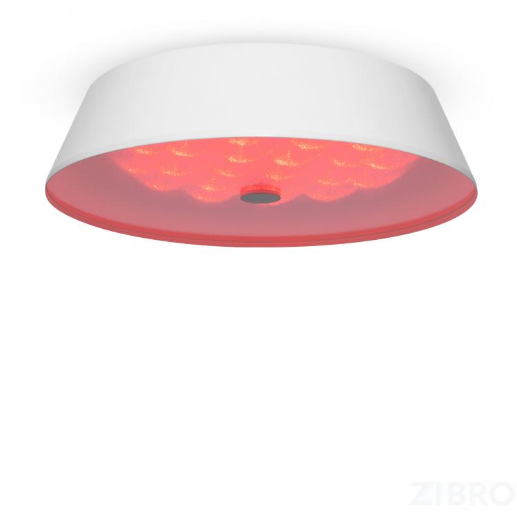 Потолочный светильник Freya FR10013CL-L24W
