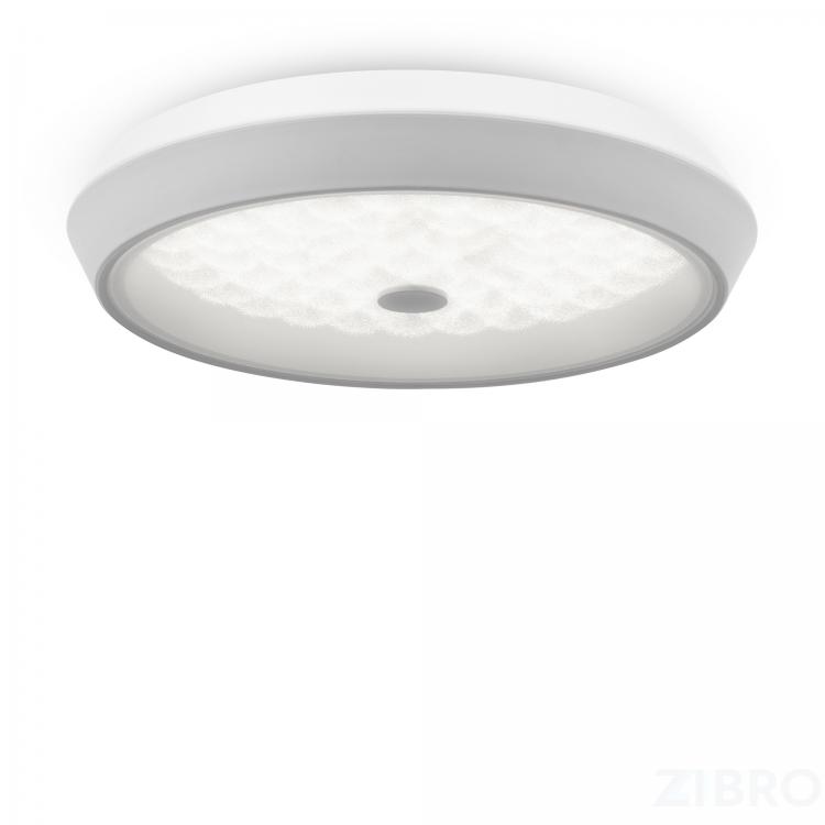 Потолочный светильник Freya FR10012CL-L24W