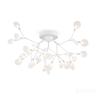 Потолочный светильник Freya FR5049CL-27W2 Потолочный светильник Freya FR5049CL-27W2