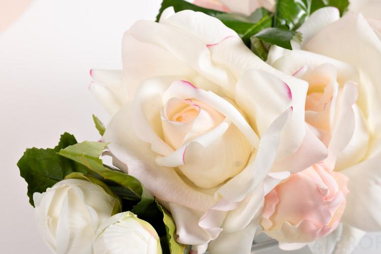 96CN-LV20 Диффузор Oval Pink, спрей Pink Peonies 2x10мл в упак.