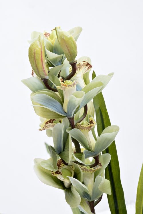 29BJ-911-33 Орхидея CYMBIDIUM белая искусственная в горшке h110 см