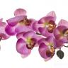 8J-1219S0004 Орхидея розовая 85 см (12)