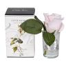 96CN-R4600 Диффузор Rose Bud French Pink,спрей Winter in Chatou 5мл уп