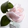 96CN-R4600 Диффузор Rose Bud French Pink,спрей Winter in Chatou 5мл уп