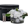96CN-LV100 Диффузор Oval White, спрей Charente Rose 2x10мл  в уп.