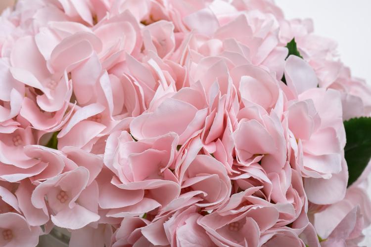 96CN-RB0020 Диффузор Hydrangea&Rosebud pink , спрей Eau de vie 2*10ml в упак. 96CN-RB0020 Диффузор Hydrangea&Rosebud pink , спрей Eau de vie 2*10ml в упак.