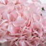 96CN-RB0020 Диффузор Hydrangea&Rosebud pink , спрей Eau de vie 2*10ml в упак. 96CN-RB0020 Диффузор Hydrangea&Rosebud pink , спрей Eau de vie 2*10ml в упак.