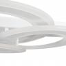 Потолочный светильник Freya FR10022CL-L63W Потолочный светильник Freya FR10022CL-L63W